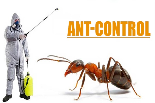 Ant-control