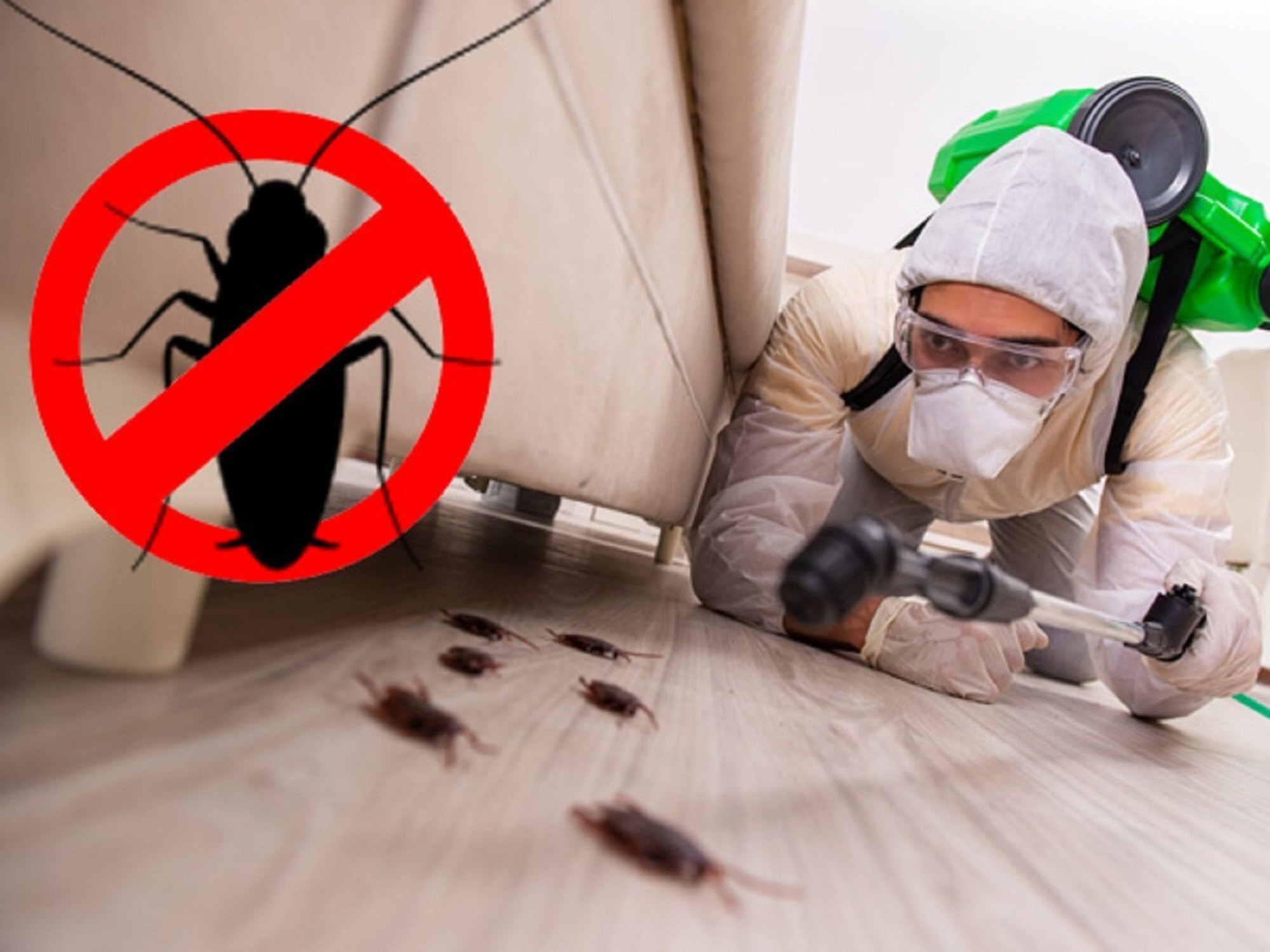 cockroach-pest-control-service
